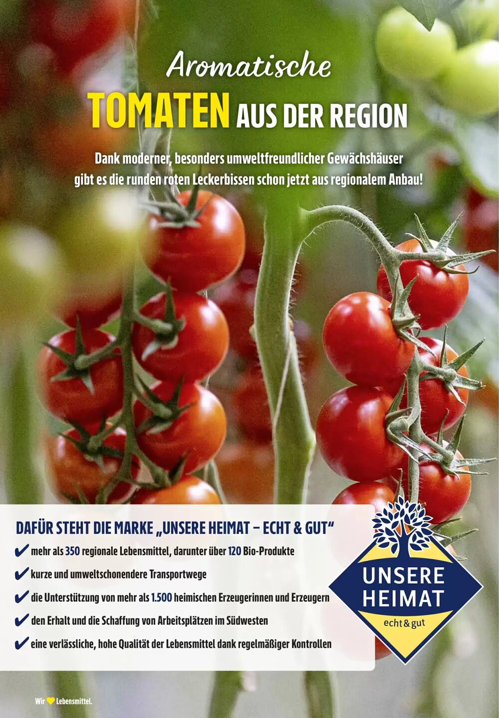 Edeka Stenger Prospekt (ab 19.05.2025) zum Blättern - Seite 8