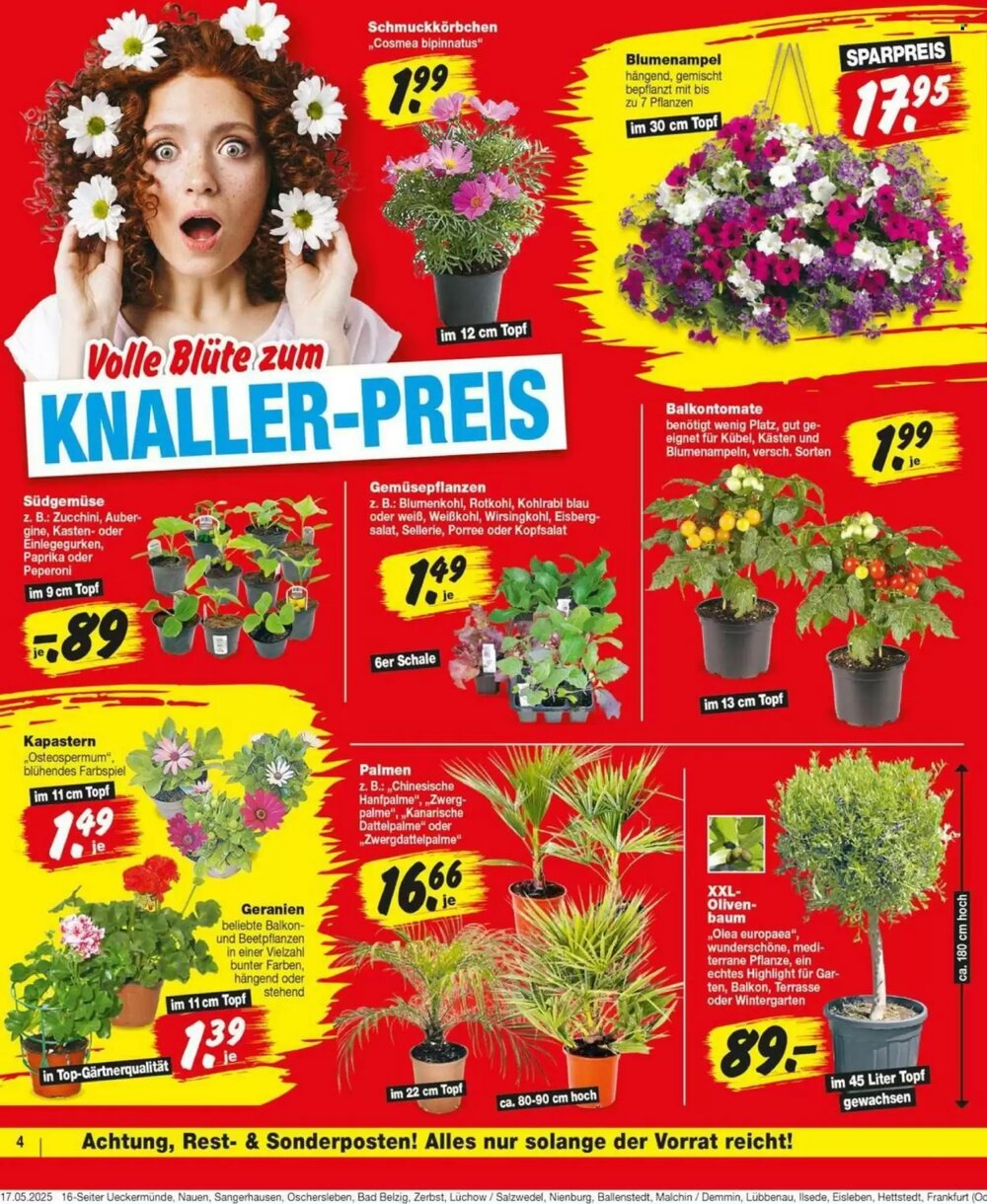 Repo Markt Prospekt (ab 19.05.2025) zum Blättern - Seite 4