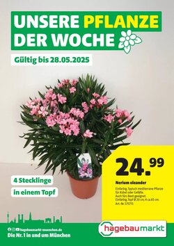Hagebau Prospekt (ab 22.05.2025) zum Blättern