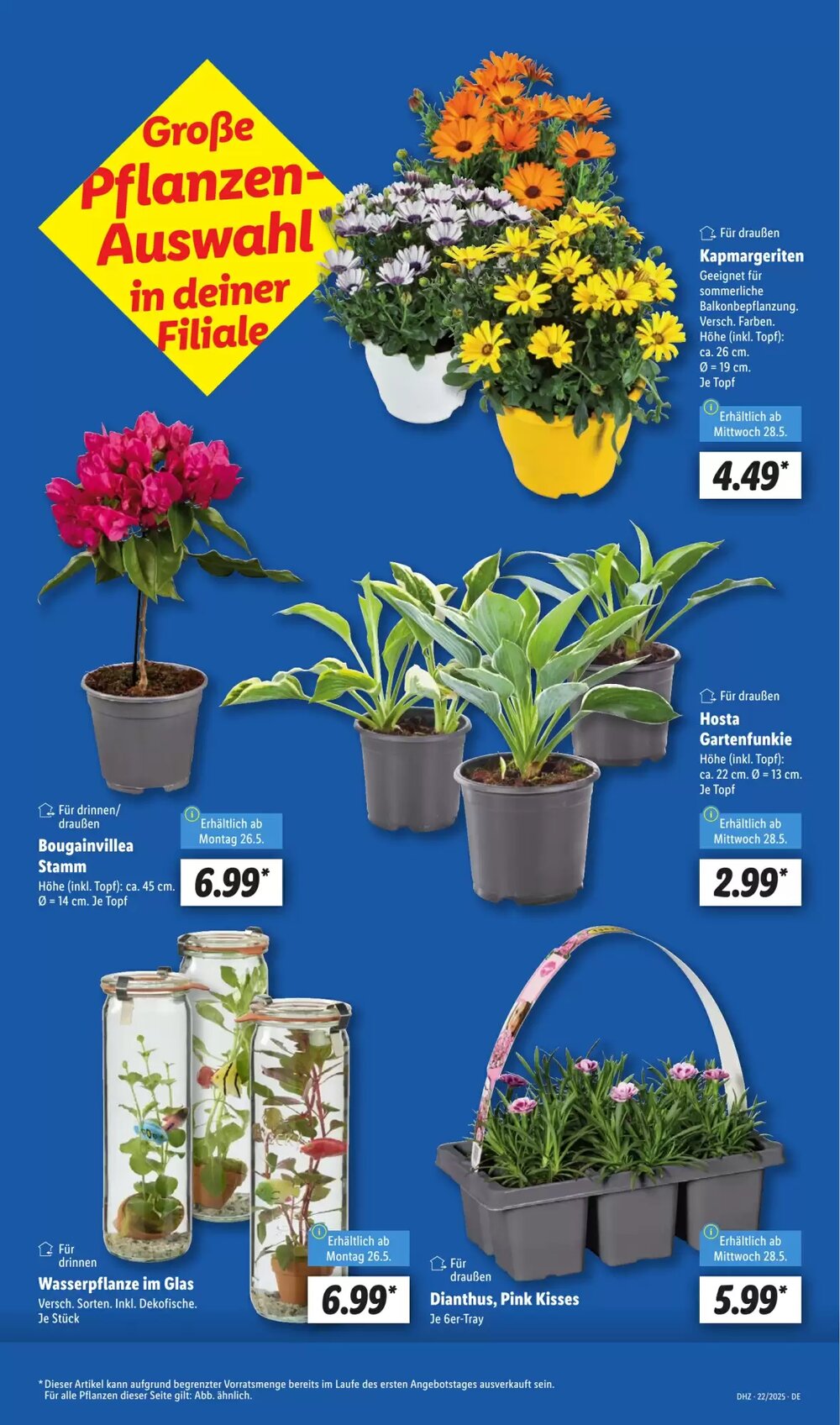 Lidl Prospekt (ab 26.05.2025) zum Blättern - Seite 7