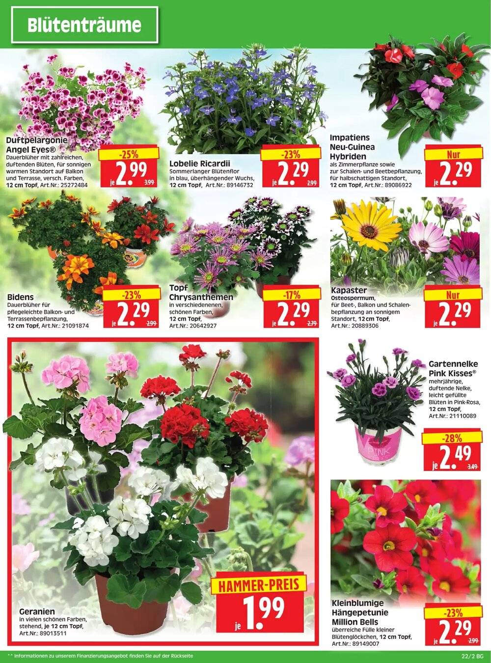 Herkules Baumarkt Prospekt (ab 26.05.2025) zum Blättern - Seite 2