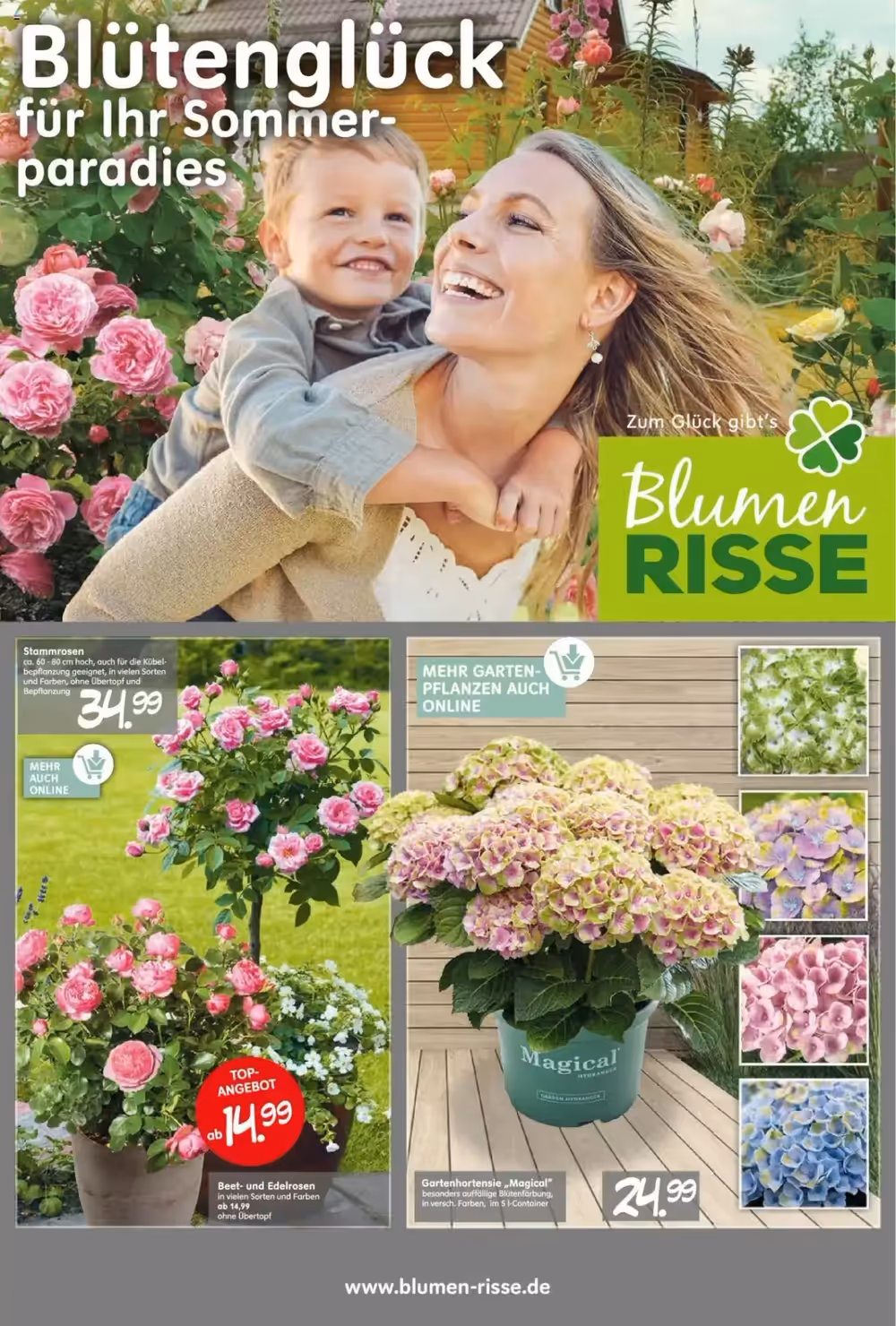 Blumen Risse Prospekt (ab 28.05.2025) zum Blättern - Seite 1