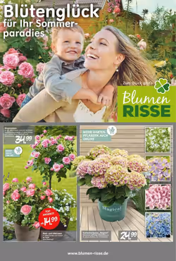 Blumen Risse Prospekt (ab 28.05.2025) zum Blättern