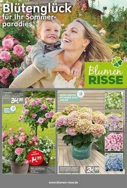 Blumen Risse Prospekt (ab 28.05.2025) zum Blättern