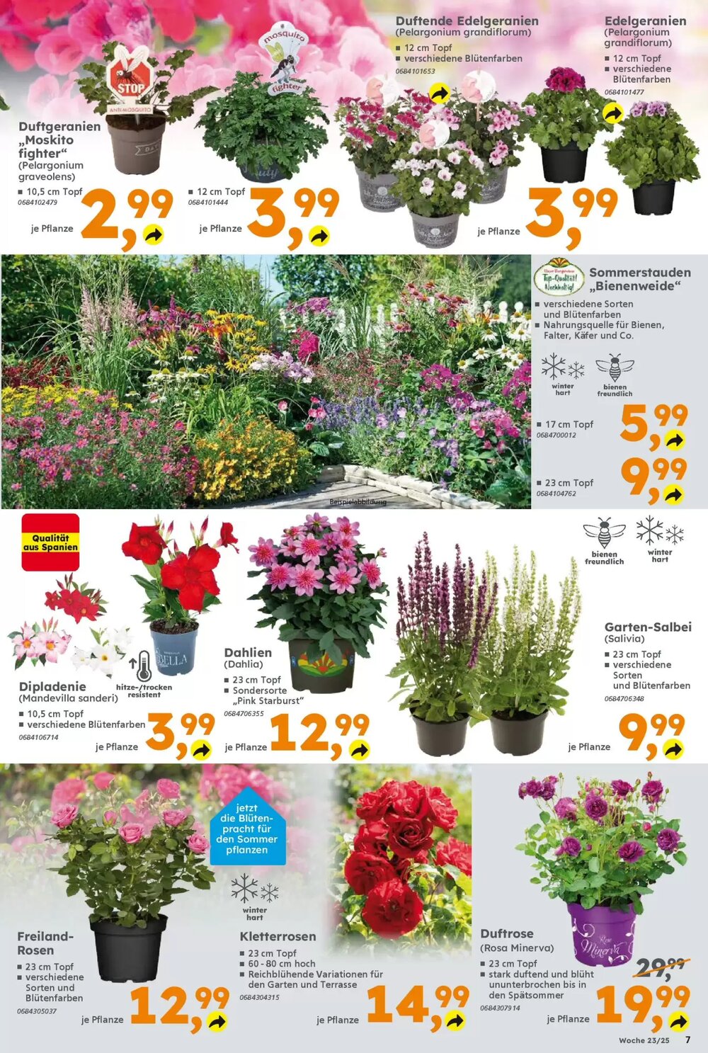 Globus Baumarkt Prospekt (ab 01.06.2025) zum Blättern - Seite 7