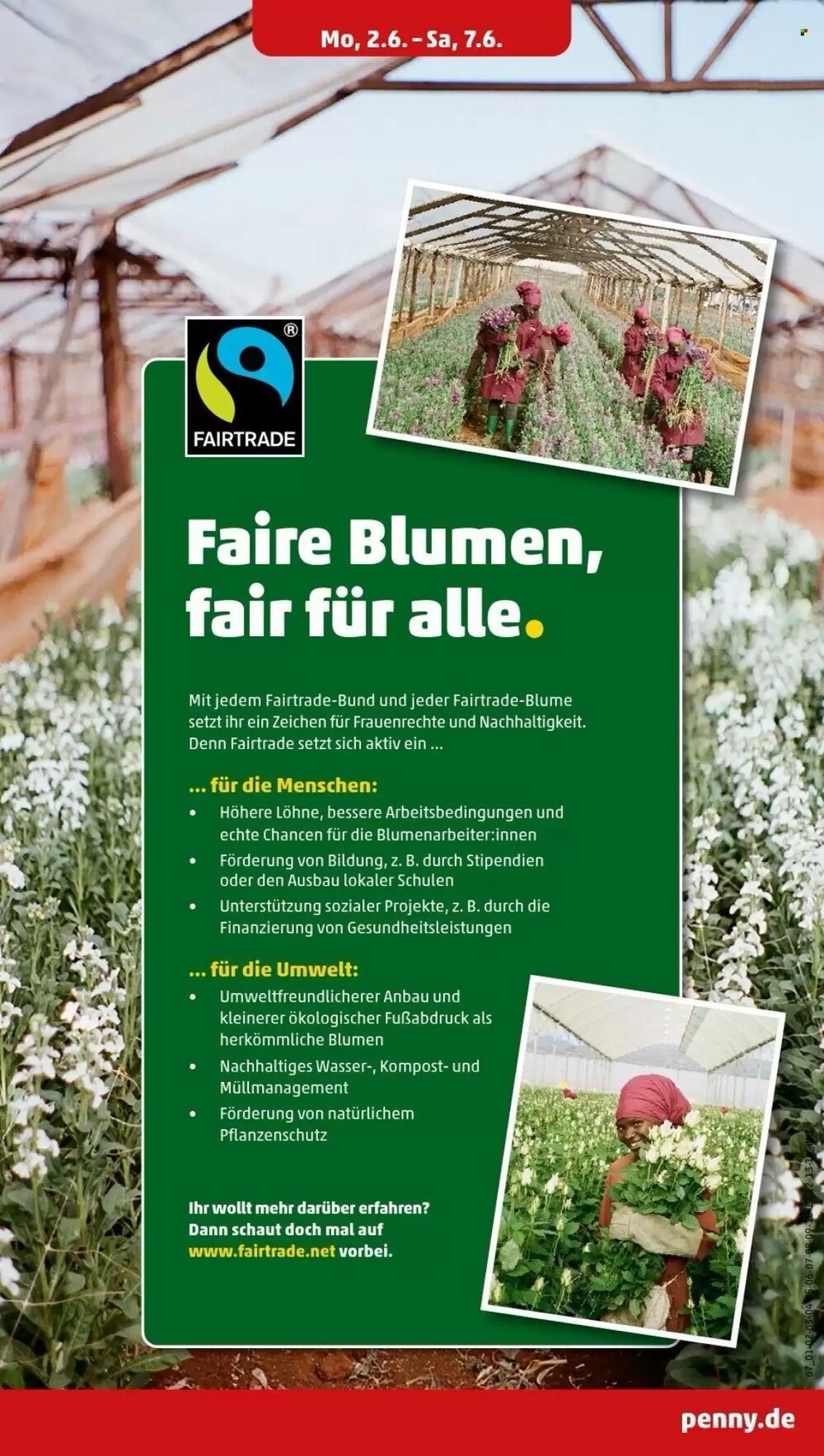 PENNY Prospekt (ab 02.06.2025) zum Blättern - Seite 7