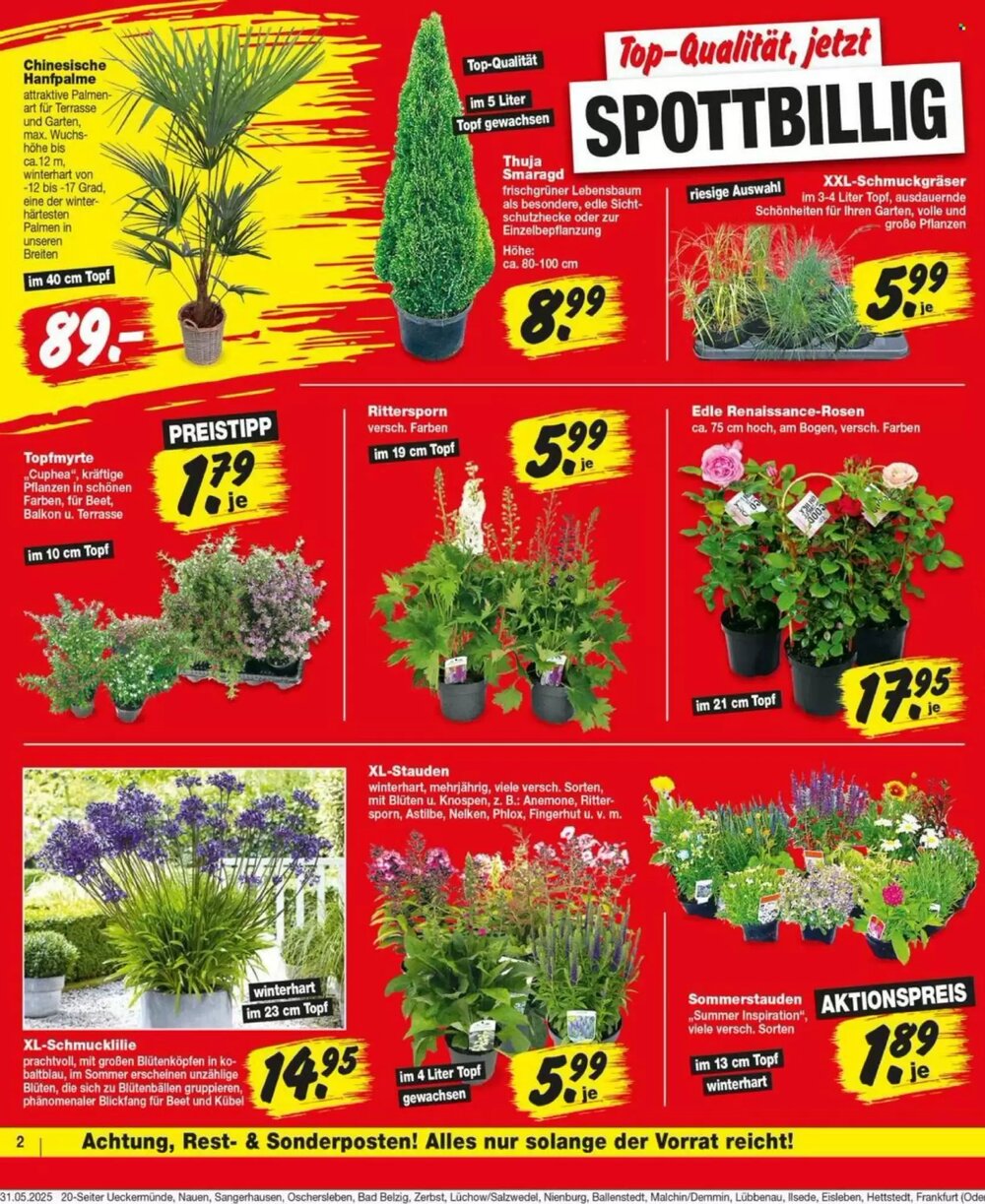 Repo Markt Prospekt (ab 02.06.2025) zum Blättern - Seite 2