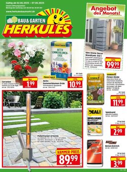 Herkules Baumarkt Prospekt (ab 02.06.2025) zum Blättern