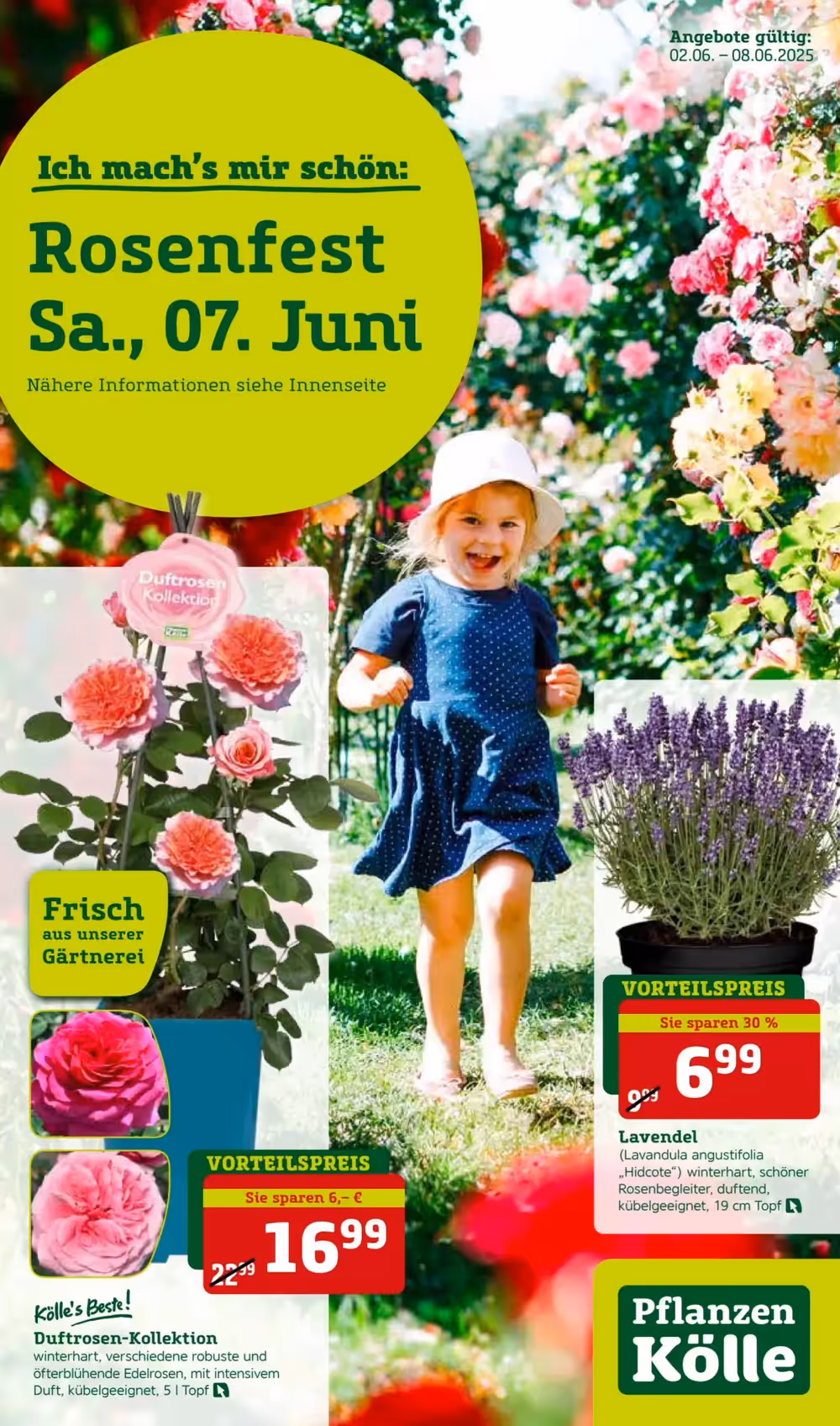 Pflanzen Kölle Prospekt (ab 02.06.2025) zum Blättern - Seite 1