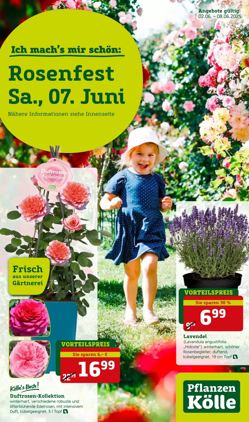 Pflanzen Kölle Prospekt (ab 02.06.2025) zum Blättern - Seite 1