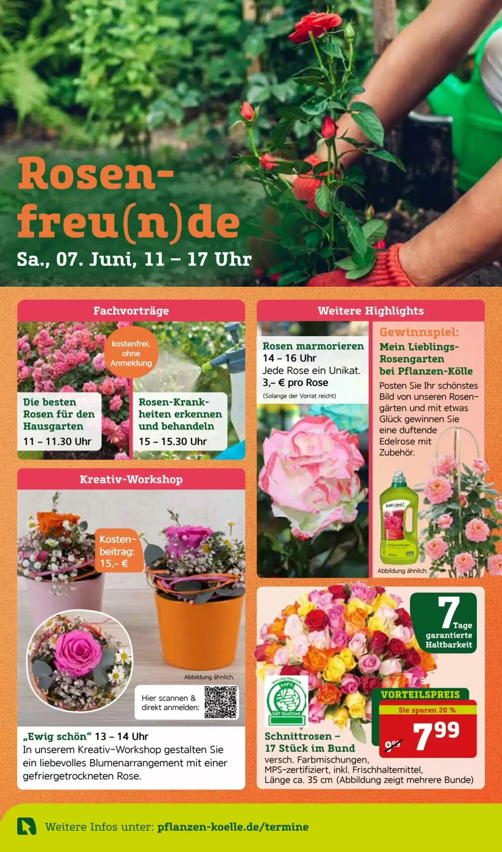 Pflanzen Kölle Prospekt (ab 02.06.2025) zum Blättern - Seite 10