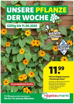 Hagebau Prospekt (ab 05.06.2025) zum Blättern