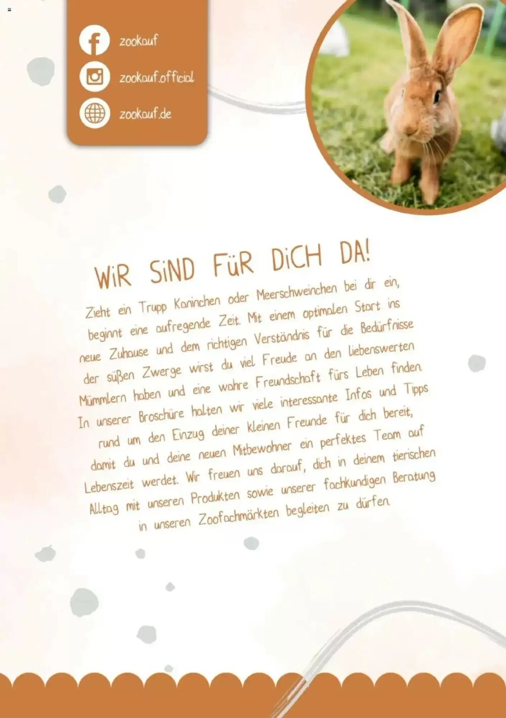 Zookauf Prospekt (ab 05.06.2025) zum Blättern - Seite 2