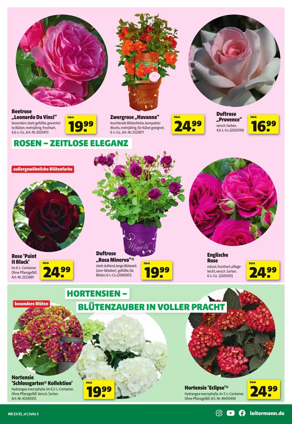 Leitermann Baumarkt Prospekt (ab 05.06.2025) zum Blättern - Seite 3