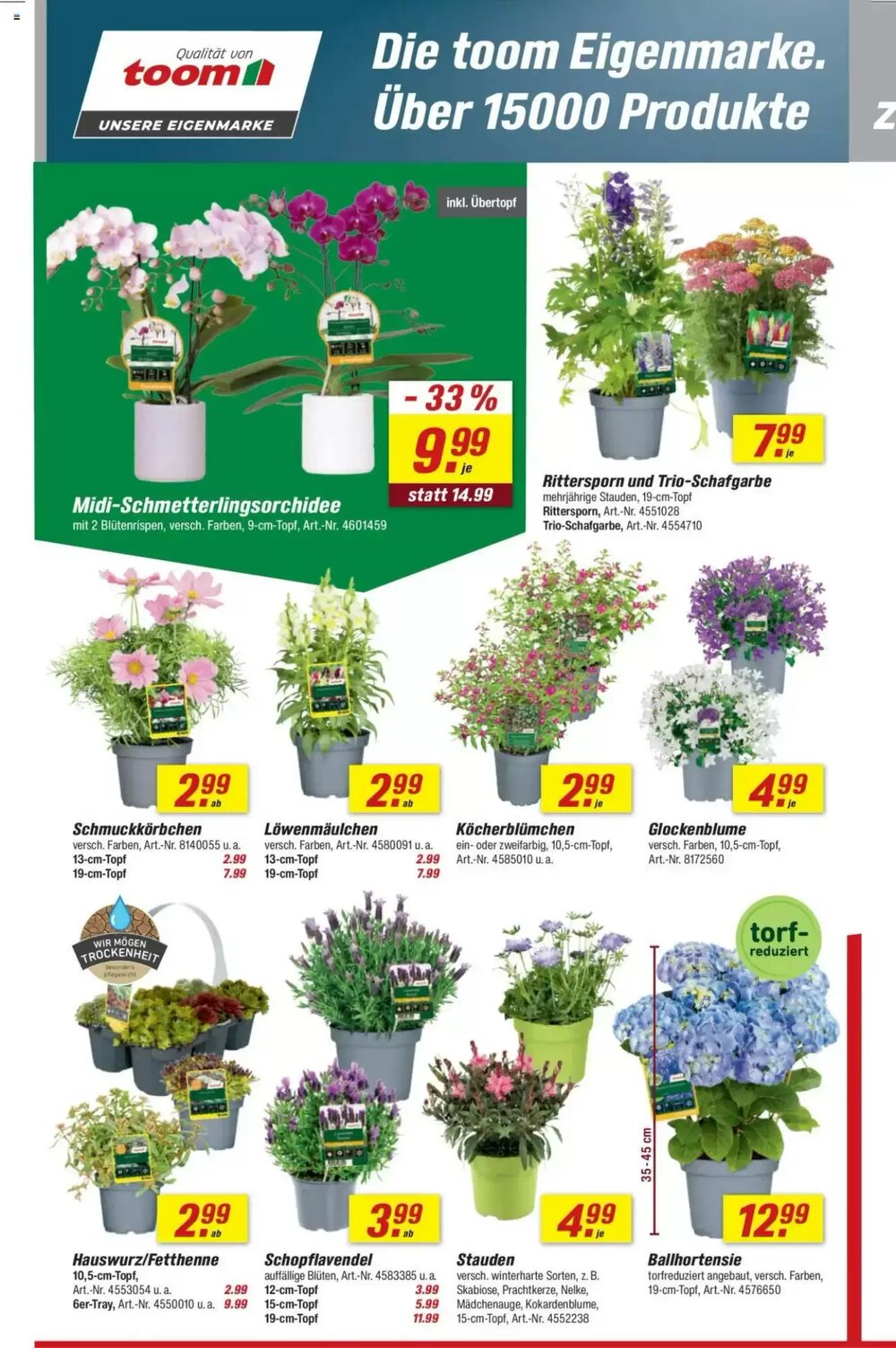 toom Baumarkt Prospekt (ab 07.06.2025) zum Blättern - Seite 4