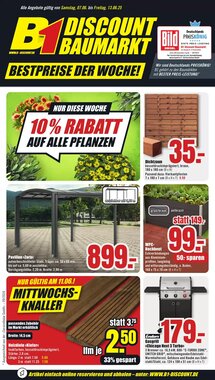 B1 Discount Baumarkt Prospekt (ab 07.06.2025) zum Blättern