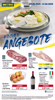 METRO Prospekt (ab 09.06.2025) zum Blättern