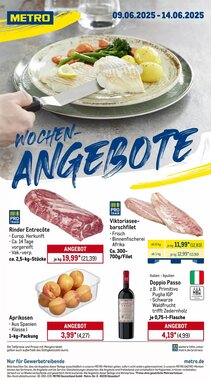 METRO Prospekt (ab 09.06.2025) zum Blättern