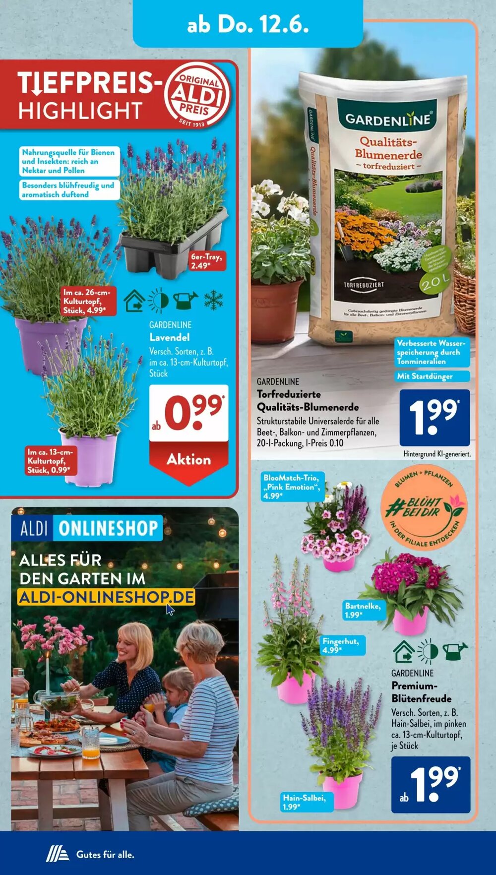 Aldi Süd Prospekt (ab 10.06.2025) zum Blättern - Seite 10