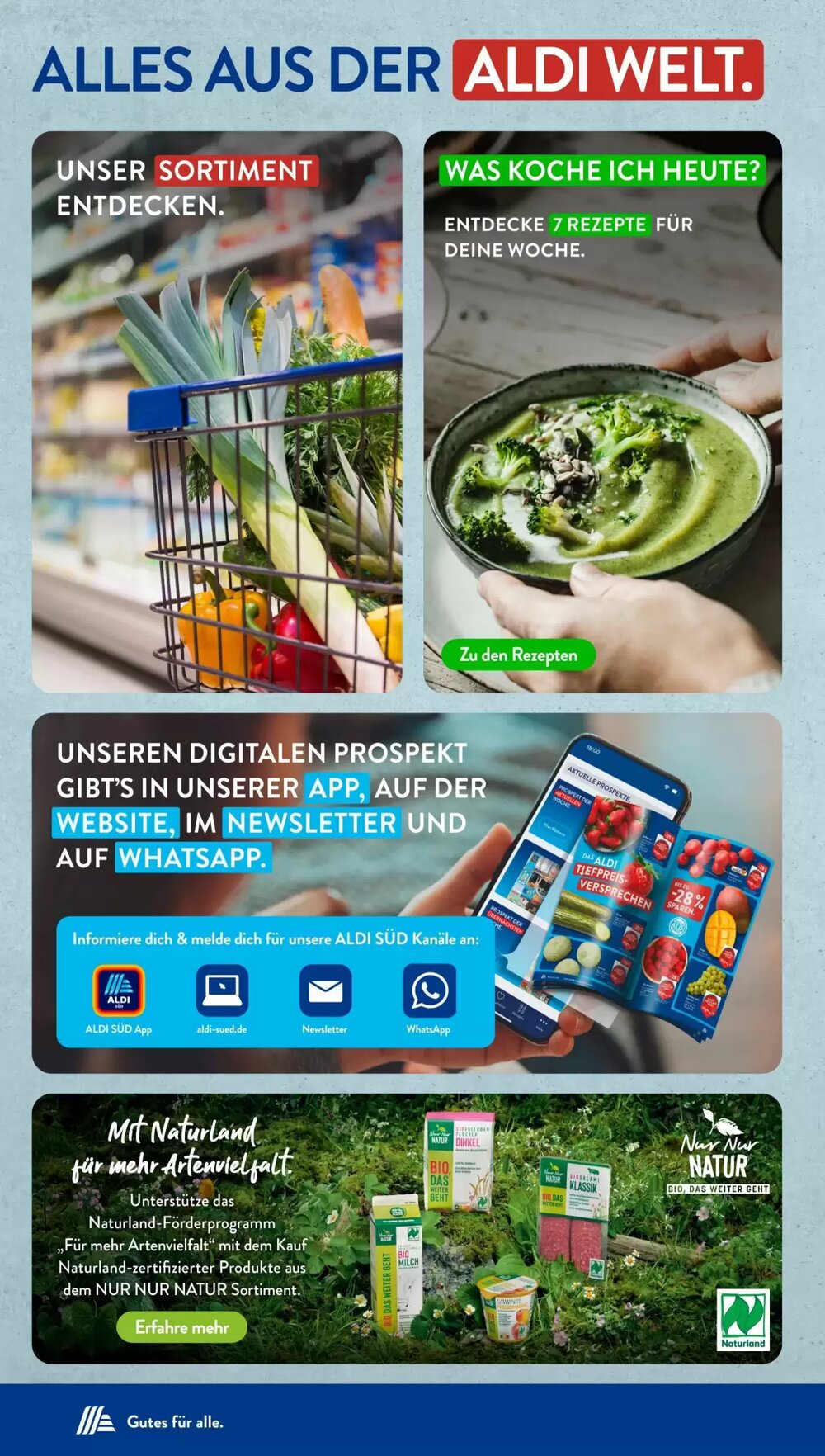 Aldi Süd Prospekt (ab 10.06.2025) zum Blättern - Seite 35