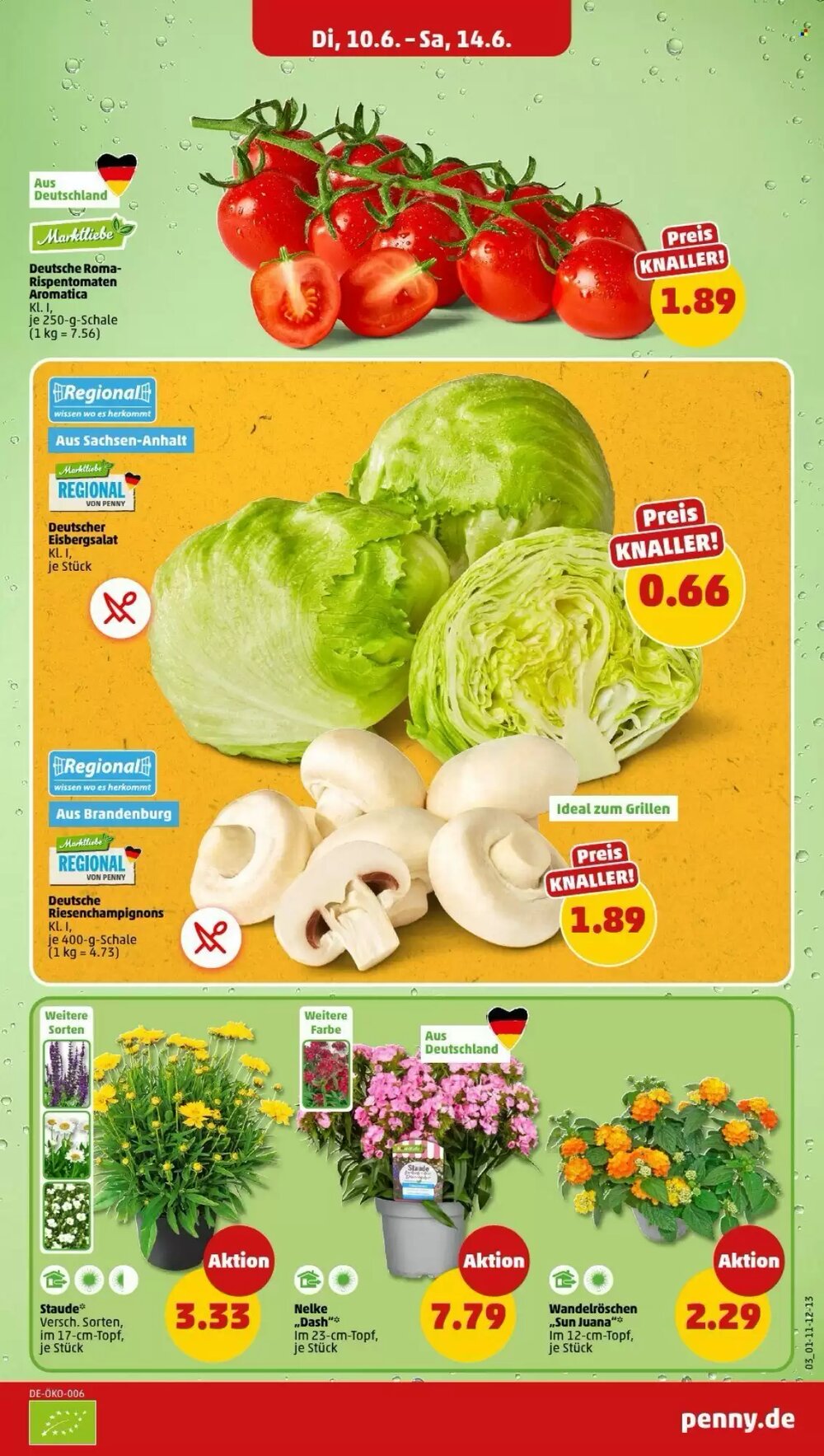 PENNY Prospekt (ab 10.06.2025) zum Blättern - Seite 5