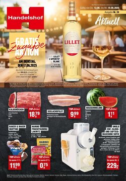 Handelshof Prospekt (ab 12.06.2025) zum Blättern