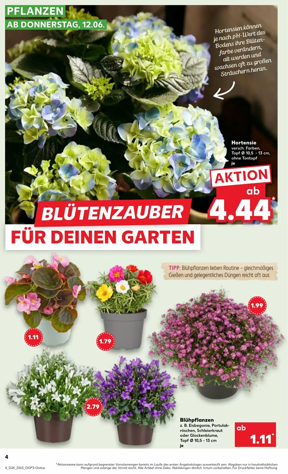 Kaufland Prospekt (ab 12.06.2025) zum Blättern - Seite 4