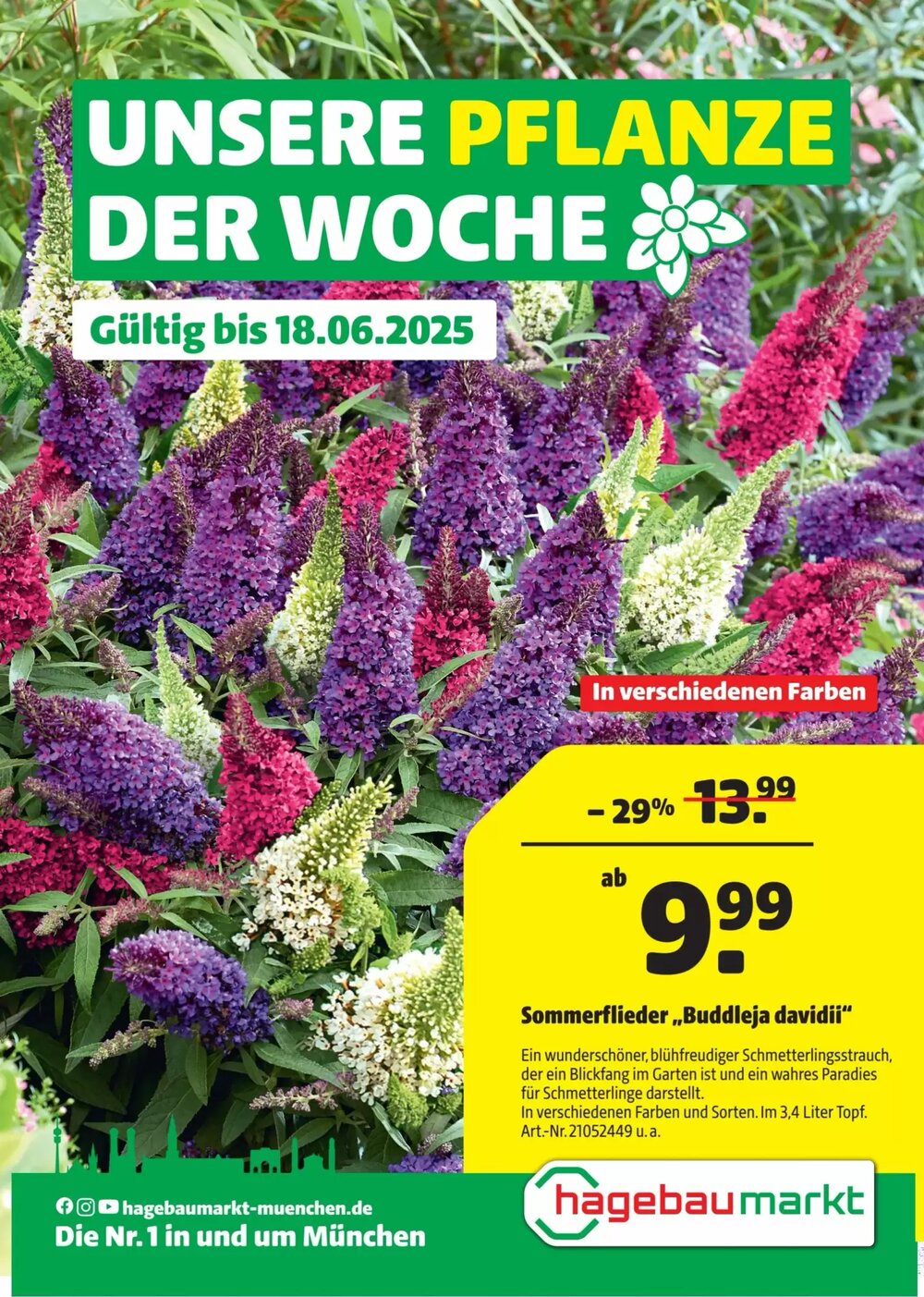 Hagebau Prospekt (ab 12.06.2025) zum Blättern - Seite 1