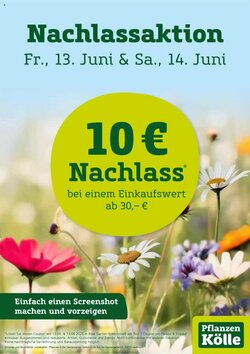 Pflanzen Kölle Prospekt (ab 13.06.2025) zum Blättern