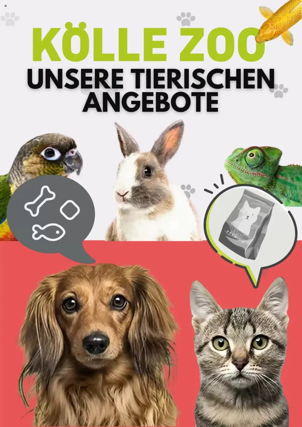 Kölle Zoo Prospekt (ab 13.06.2025) zum Blättern - Seite 1