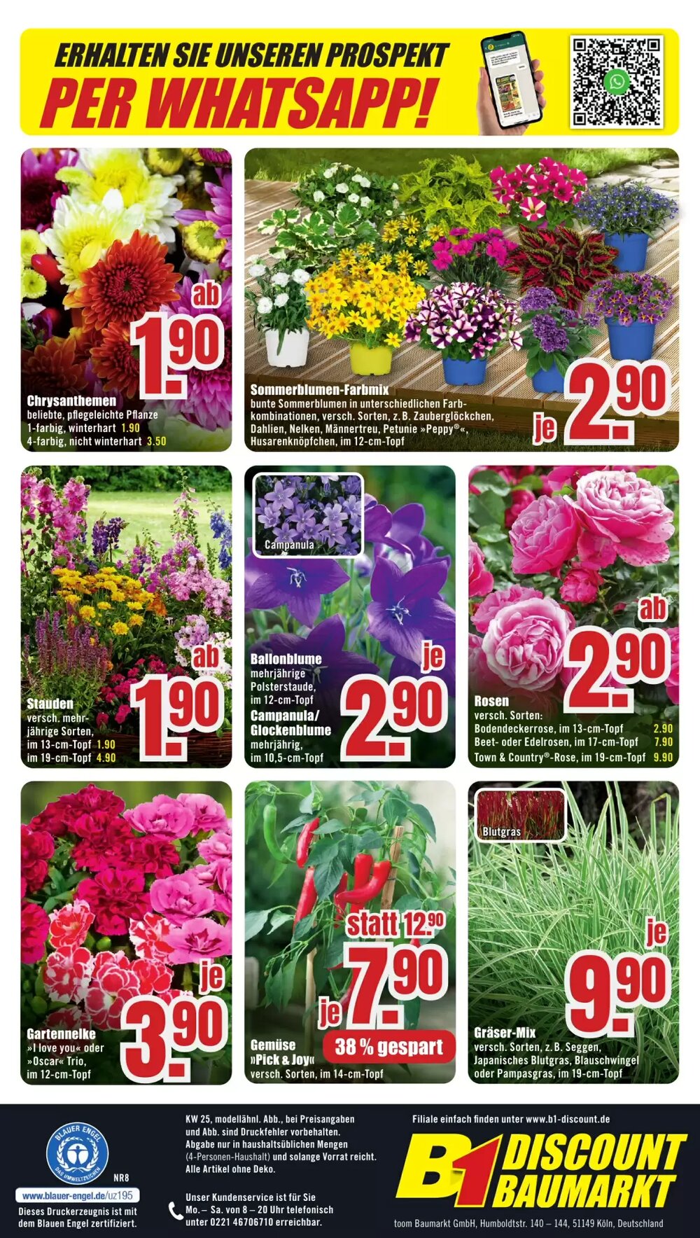 B1 Discount Baumarkt Prospekt (ab 14.06.2025) zum Blättern - Seite 8