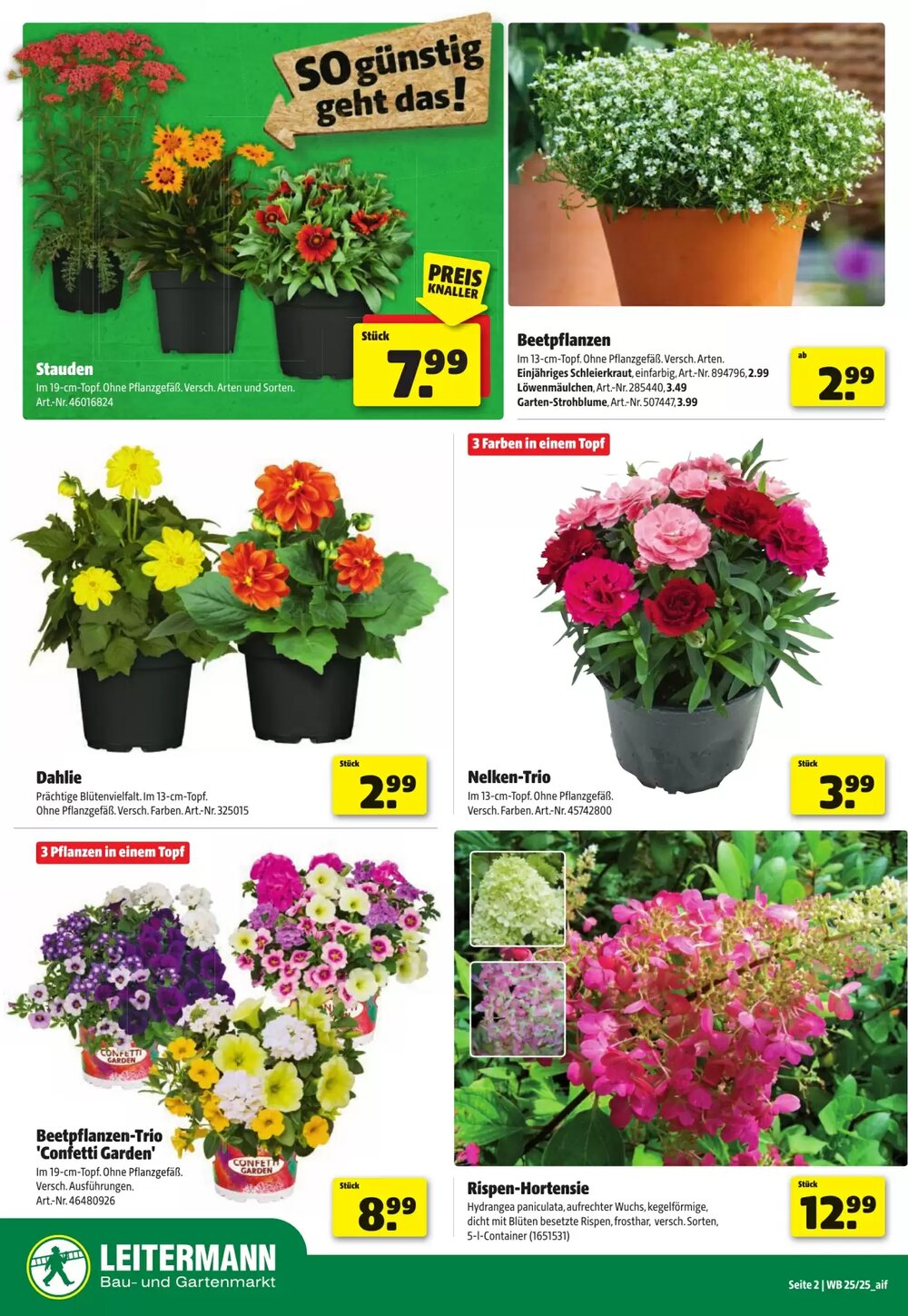 Leitermann Baumarkt Prospekt (ab 14.06.2025) zum Blättern - Seite 2