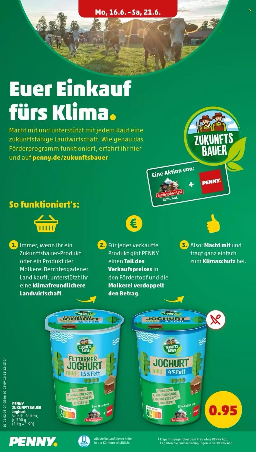 PENNY Prospekt (ab 16.06.2025) zum Blättern - Seite 12