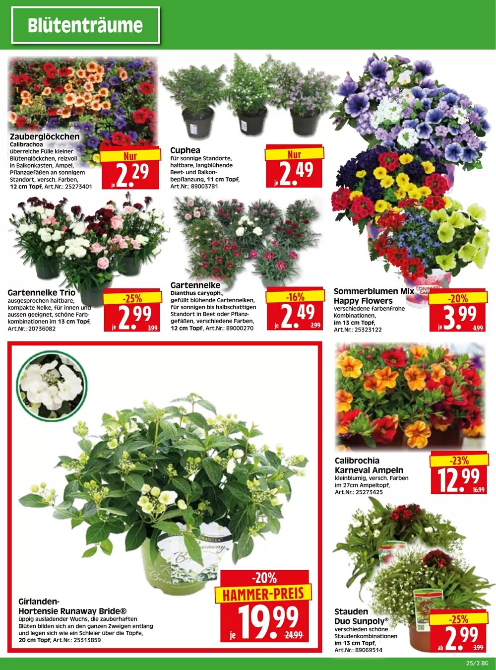 Herkules Baumarkt Prospekt (ab 16.06.2025) zum Blättern - Seite 2