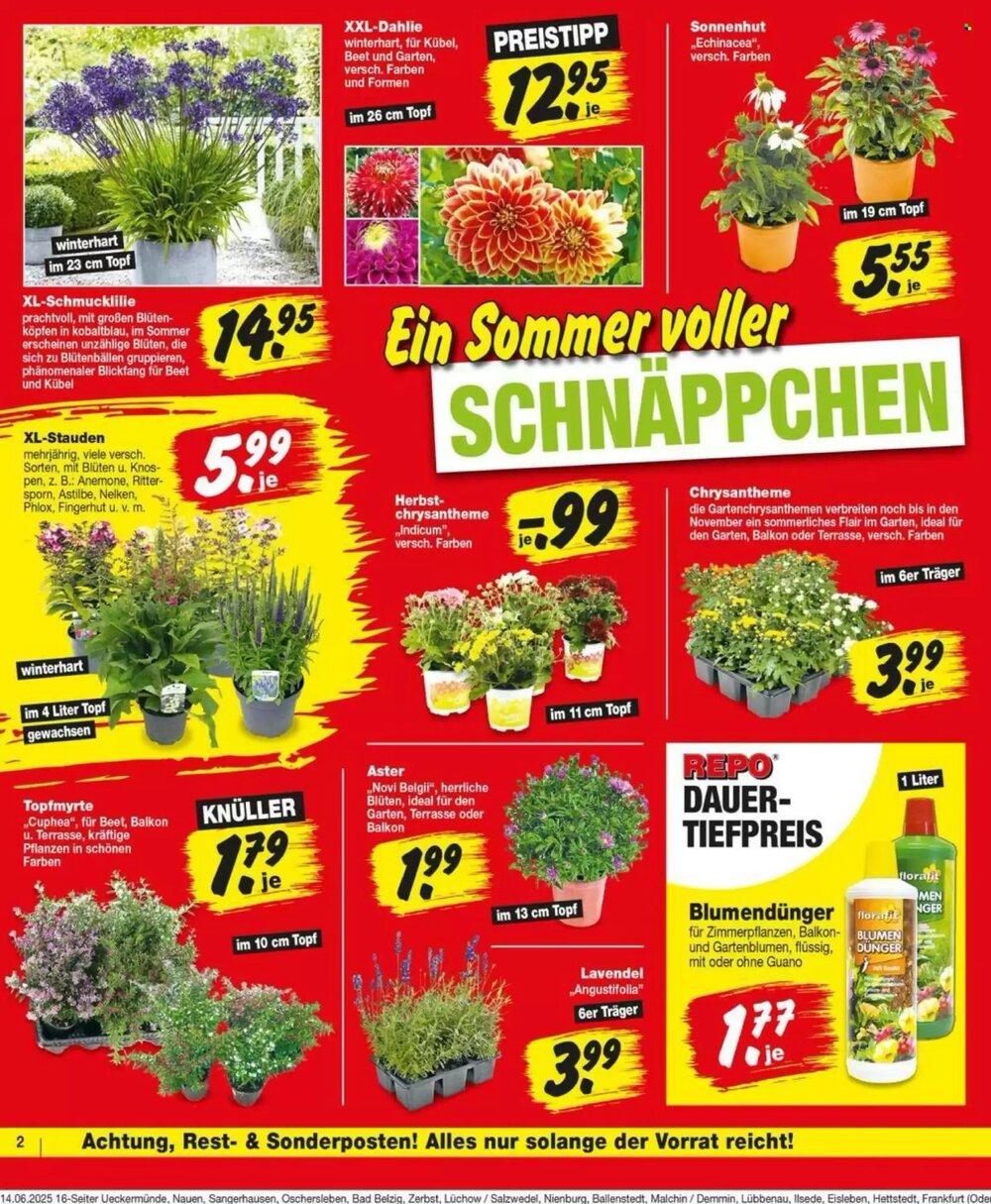 Repo Markt Prospekt (ab 16.06.2025) zum Blättern - Seite 2