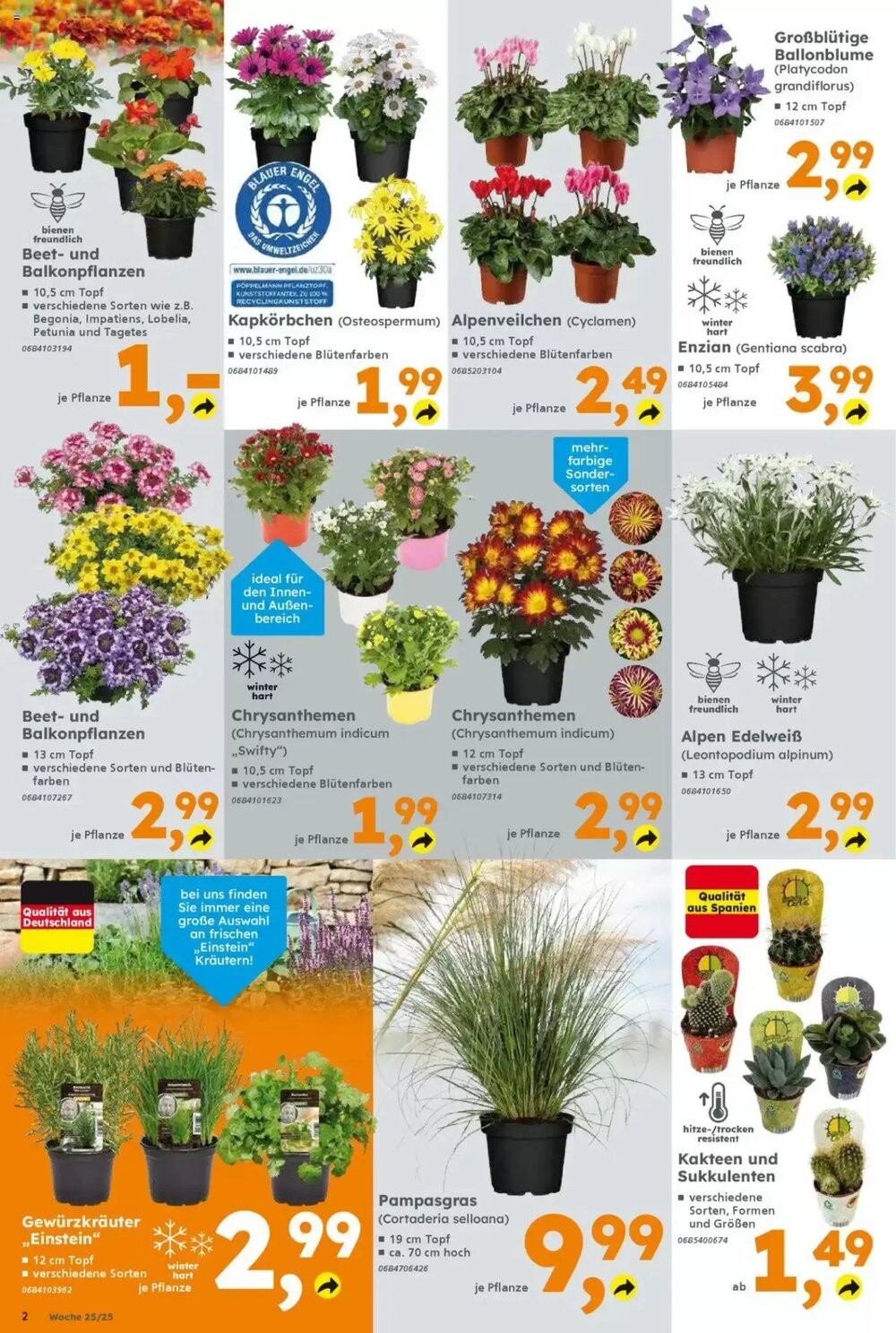 Globus Baumarkt Prospekt (ab 16.06.2025) zum Blättern - Seite 2