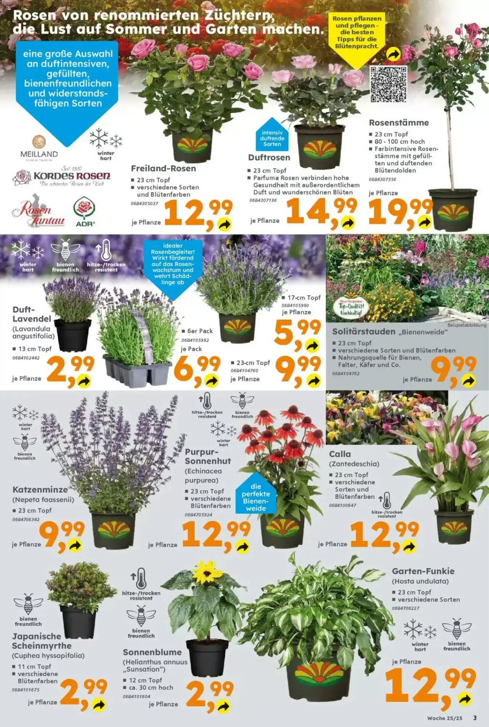 Globus Baumarkt Prospekt (ab 16.06.2025) zum Blättern - Seite 3