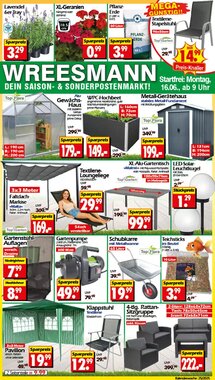 Wreesmann Prospekt (ab 16.06.2025) zum Blättern