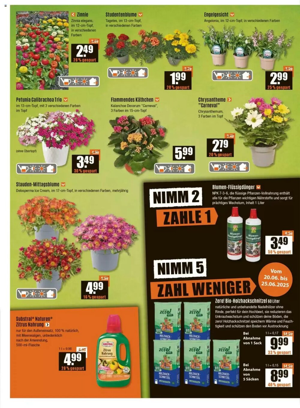 V Baumarkt Prospekt (ab 20.06.2025) zum Blättern - Seite 2