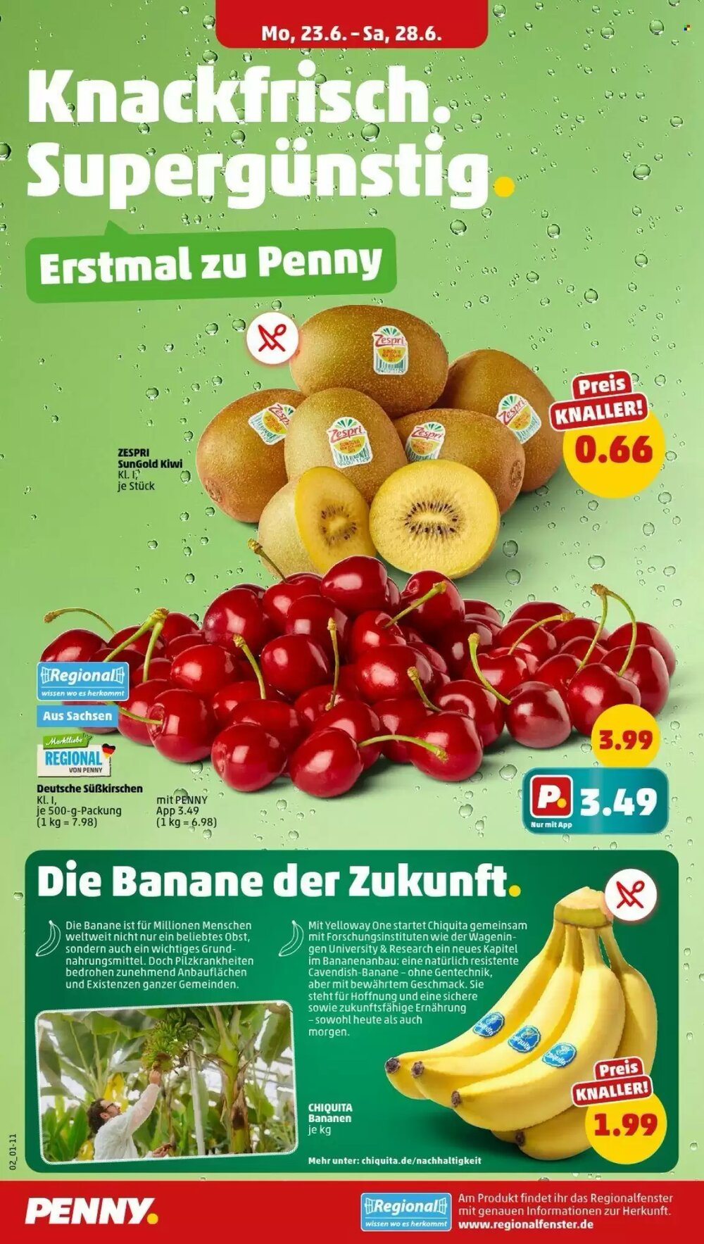 PENNY Prospekt (ab 23.06.2025) zum Blättern - Seite 2