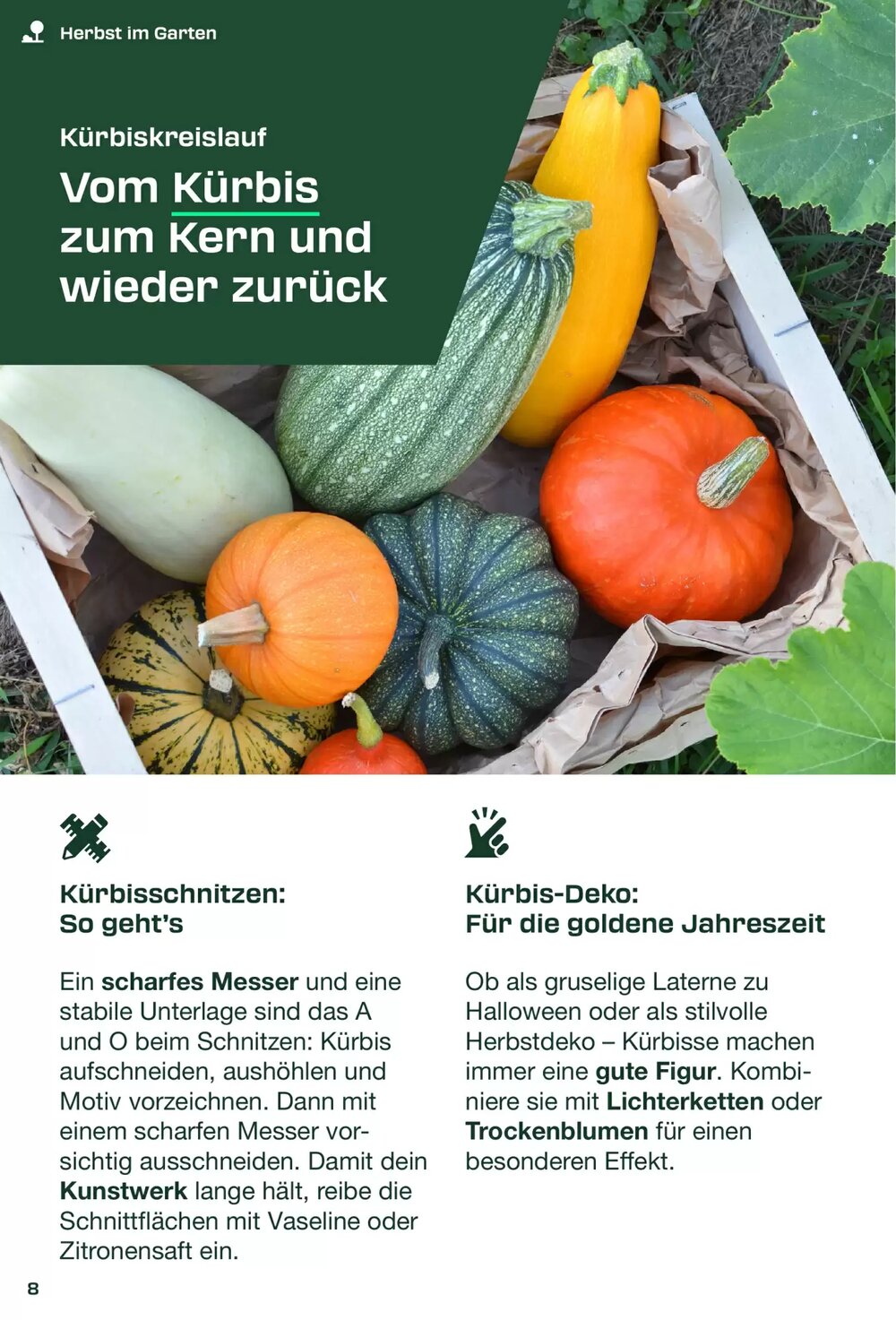 Kaufland Prospekt (ab 01.09.2025) zum Blättern - Seite 8