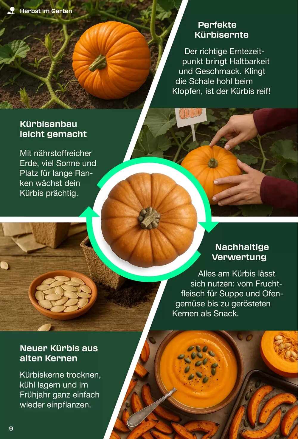 Kaufland Prospekt (ab 01.09.2025) zum Blättern - Seite 9