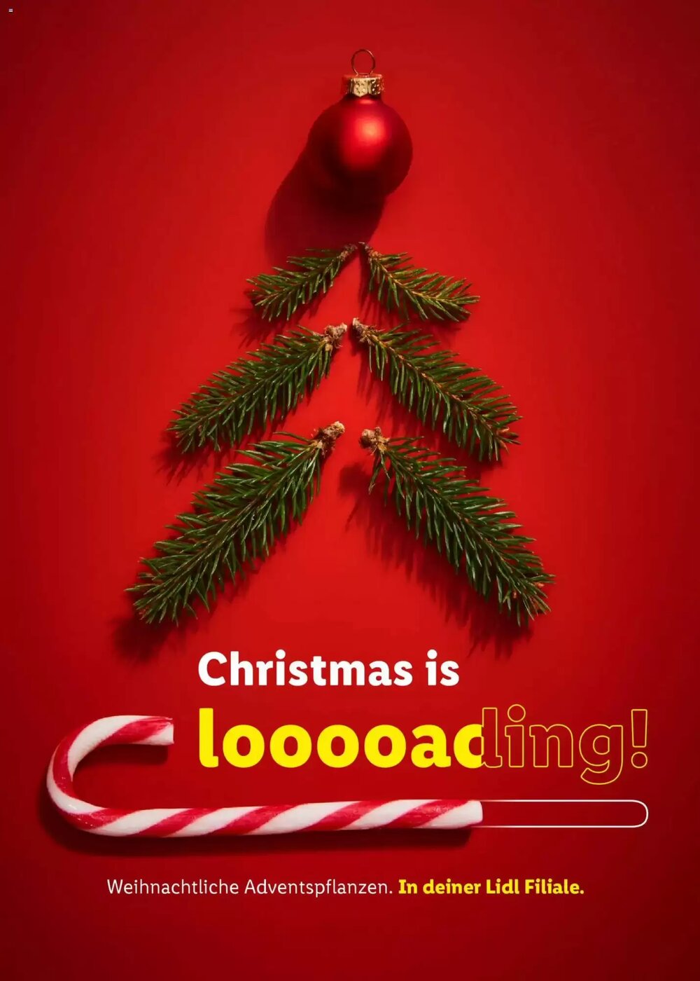 Lidl Prospekt (ab 31.10.2025) zum Blättern - Seite 12