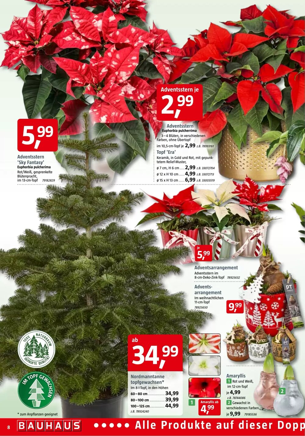 Bauhaus Prospekt (ab 01.11.2025) zum Blättern - Seite 8