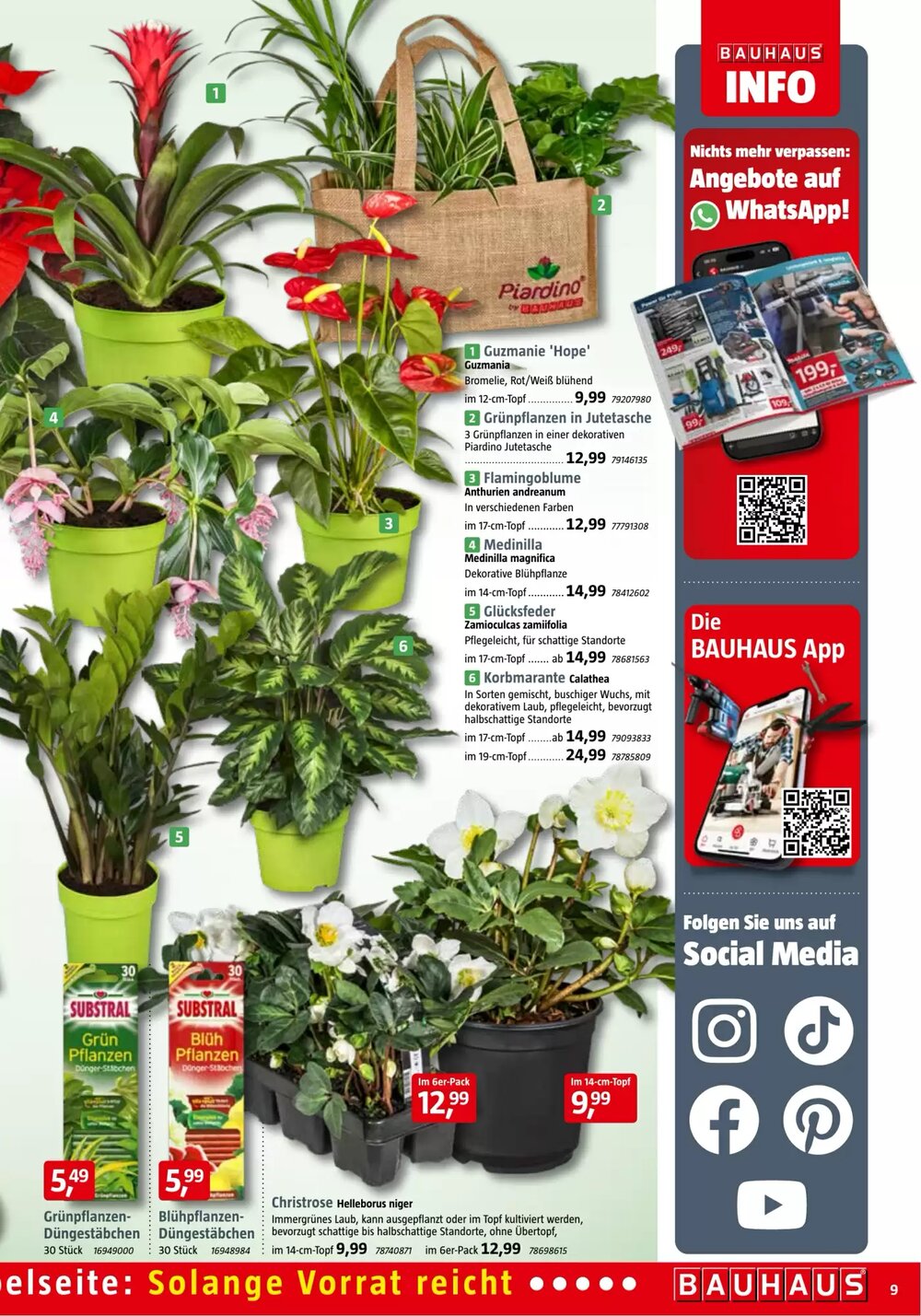 Bauhaus Prospekt (ab 01.11.2025) zum Blättern - Seite 9