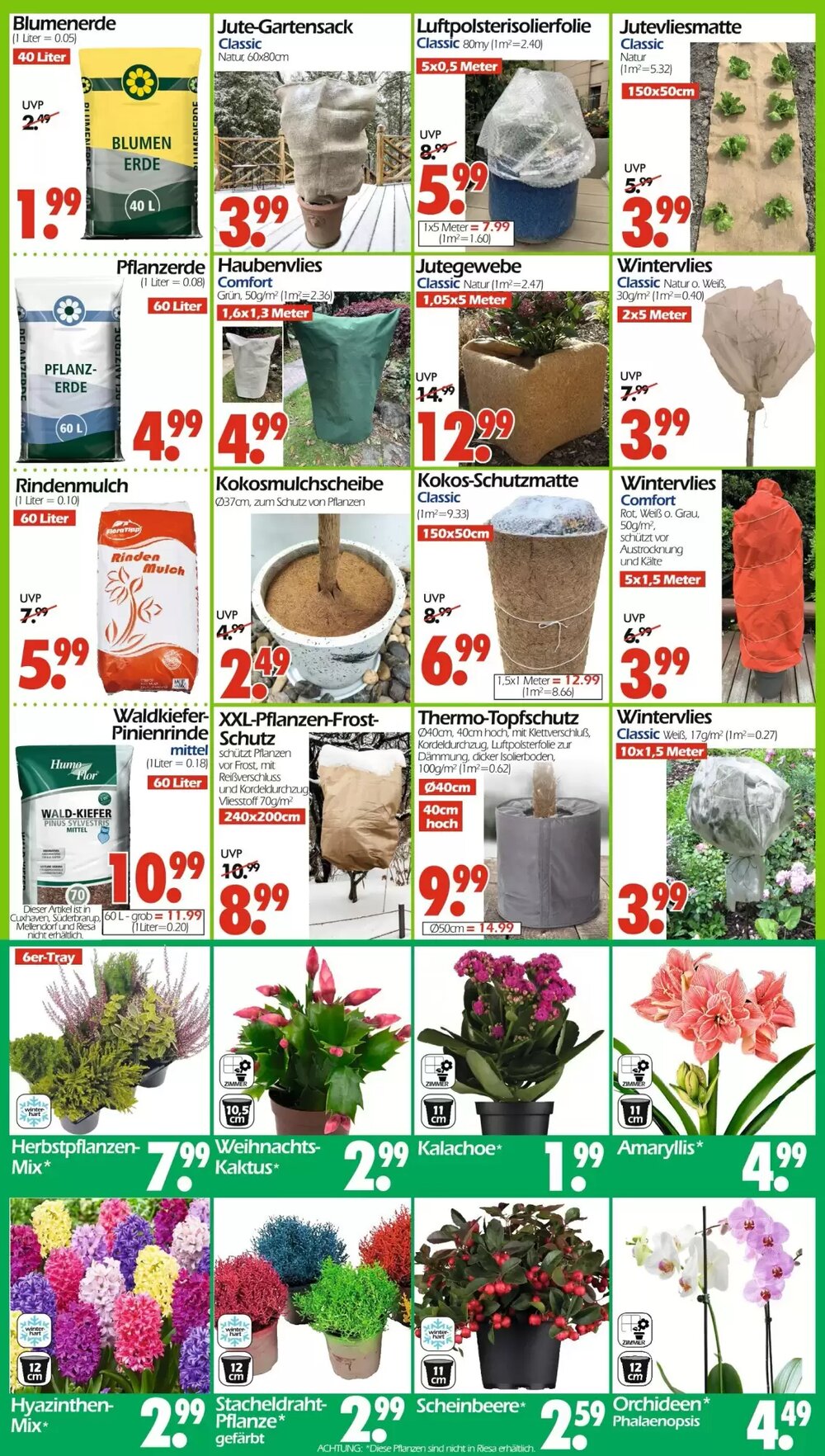 Wreesmann Prospekt (ab 17.11.2025) zum Blättern - Seite 13