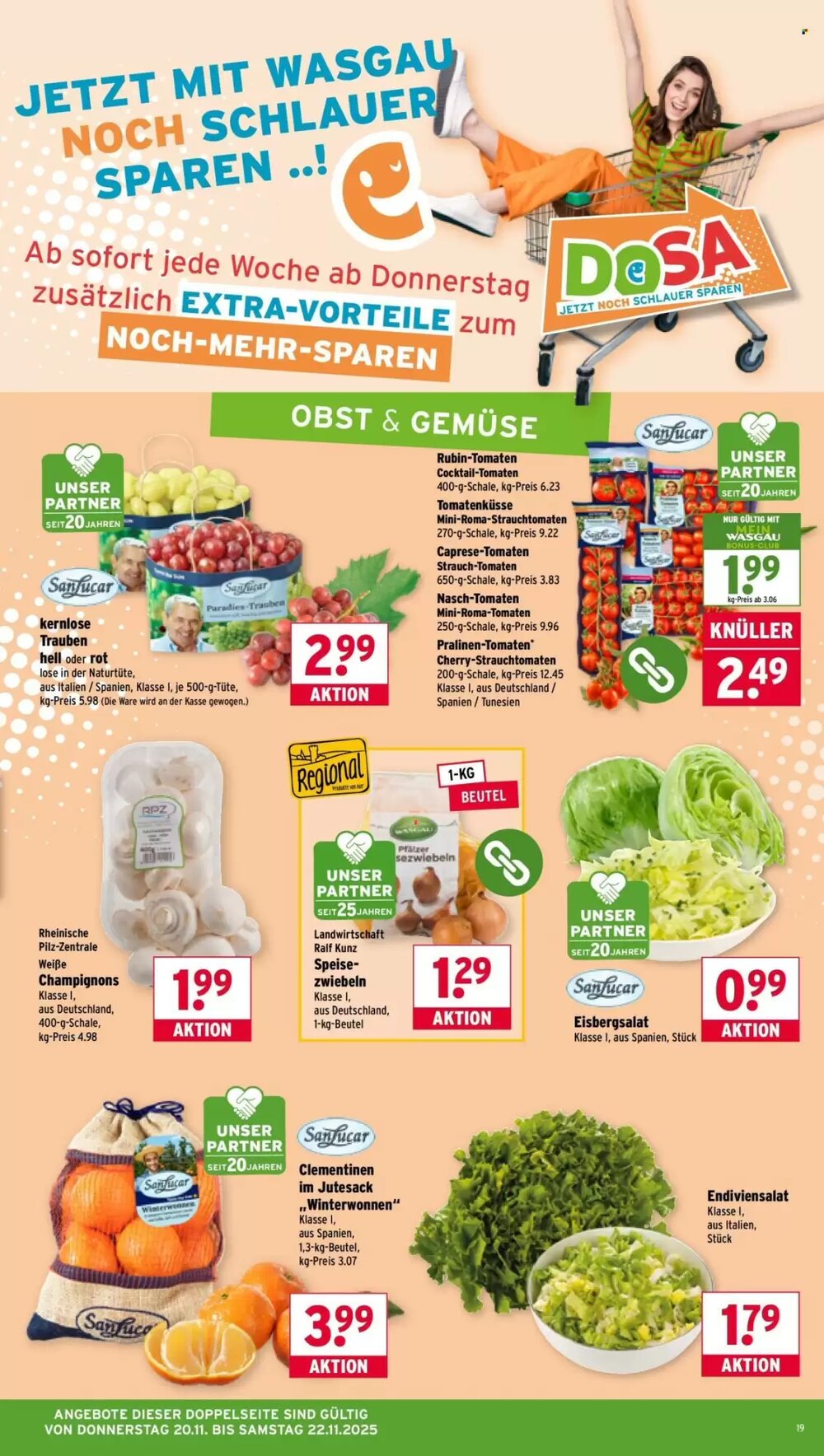 Wasgau Prospekt (ab 17.11.2025) zum Blättern - Seite 19