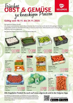 Selgros Prospekt (ab 18.11.2025) zum Blättern