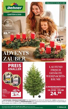 Dehner Prospekt (ab 19.11.2025) zum Blättern