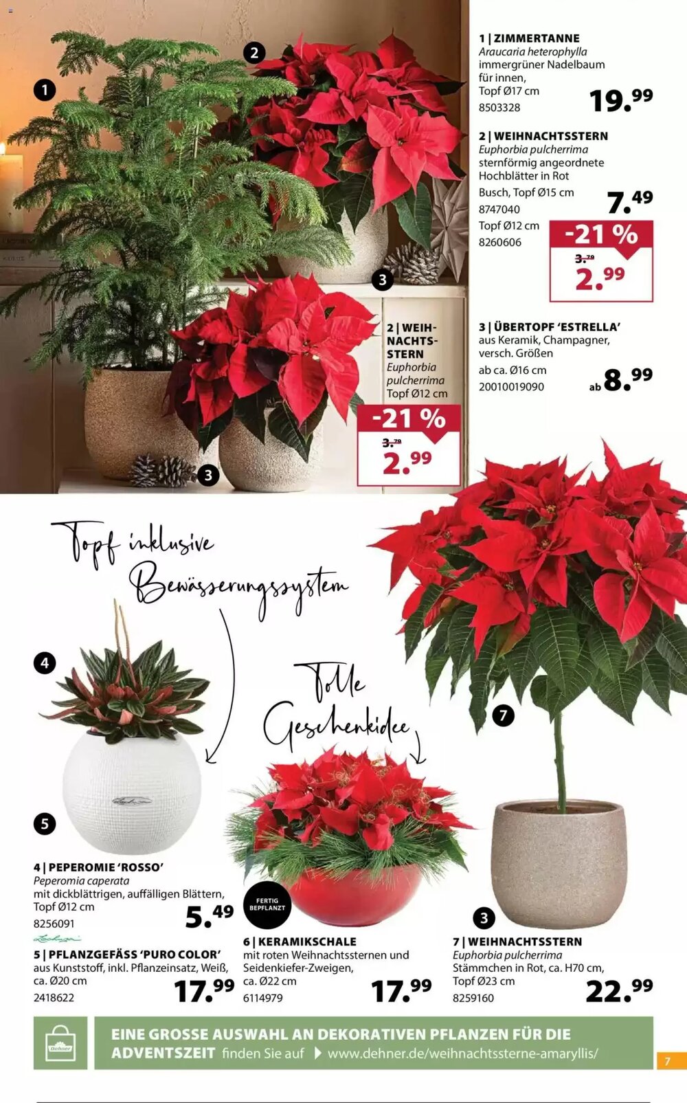 Dehner Prospekt (ab 19.11.2025) zum Blättern - Seite 7